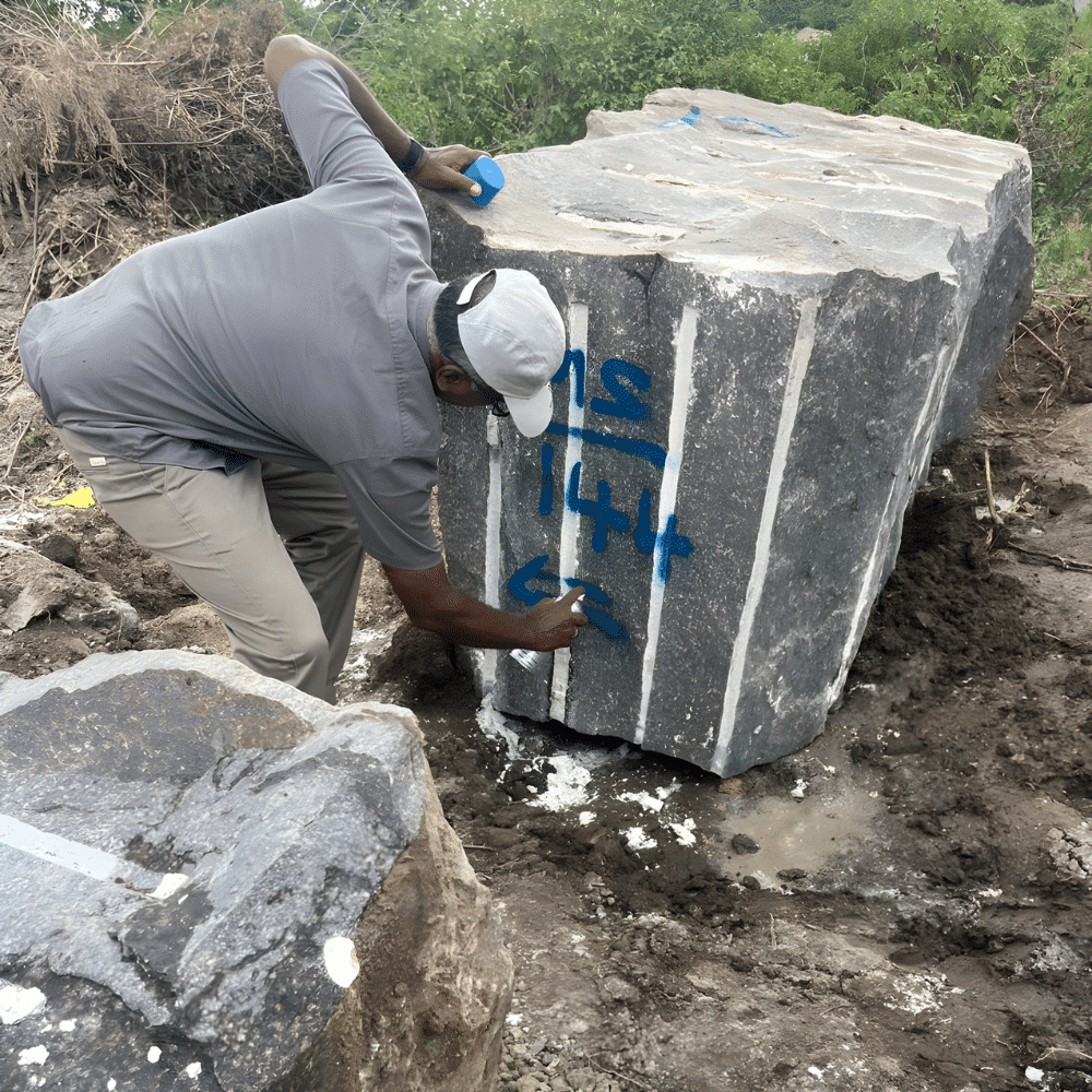Logo Item